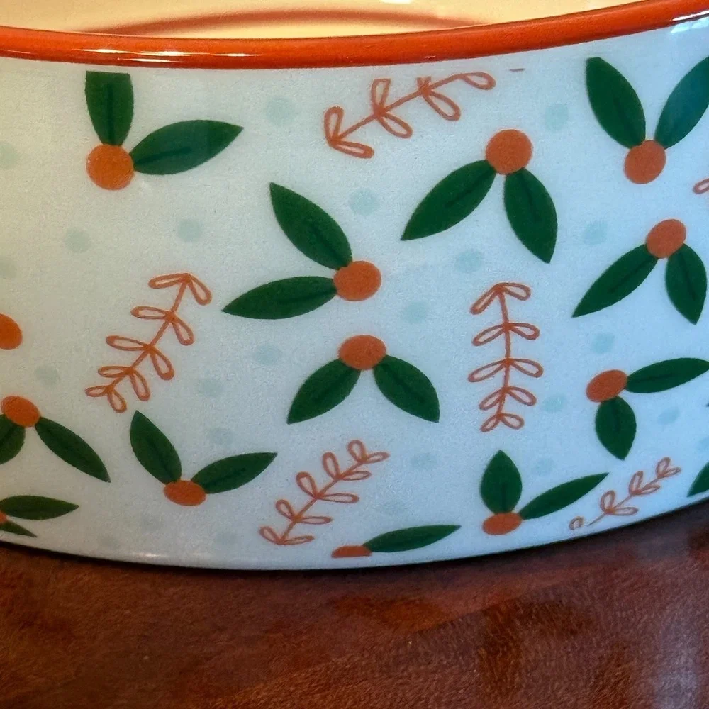 Pearhead Pet Food Bowl Merry Catmas Ceramic Holiday Cat‎ Dish